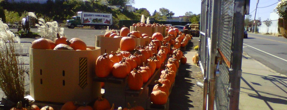 26_Have You Seen This  Check it out !  On Staten Island's NORTH SHORE.