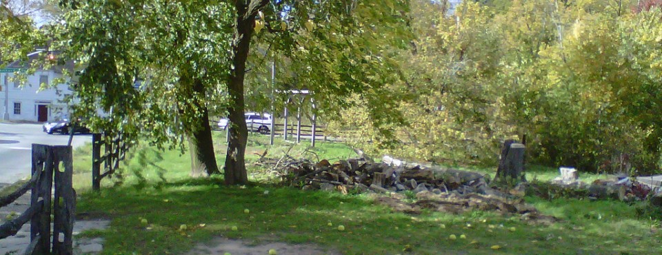 29_Did You Miss This All Stop And Stare! Found In Staten Island's Historic Richmondtown !