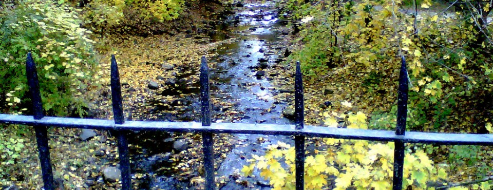 37_Who Loves The Outdoors On Staten Island North Shore
