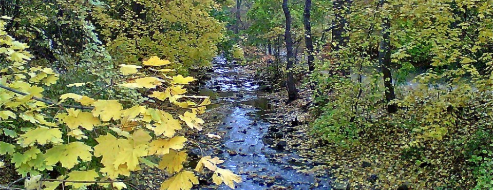 39_Serenity in Clove Lakes Park..Staten Island.