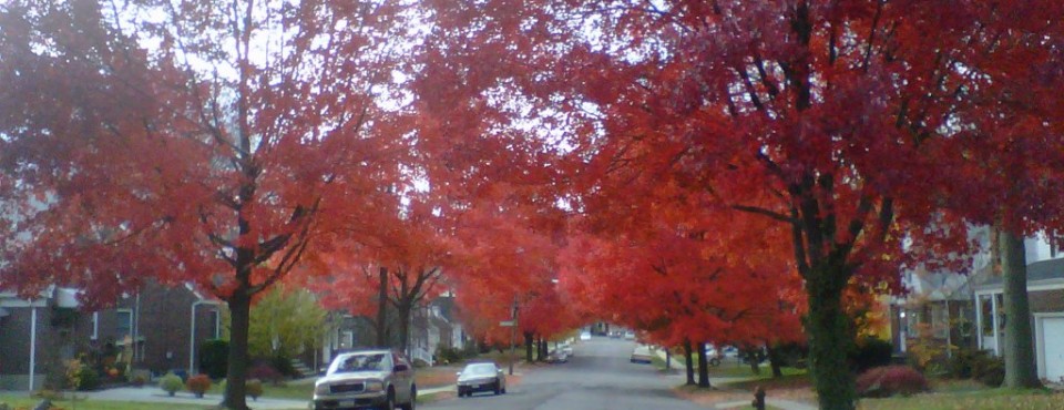A Vision In Red! Staten Island's North Shore~Westerleigh~