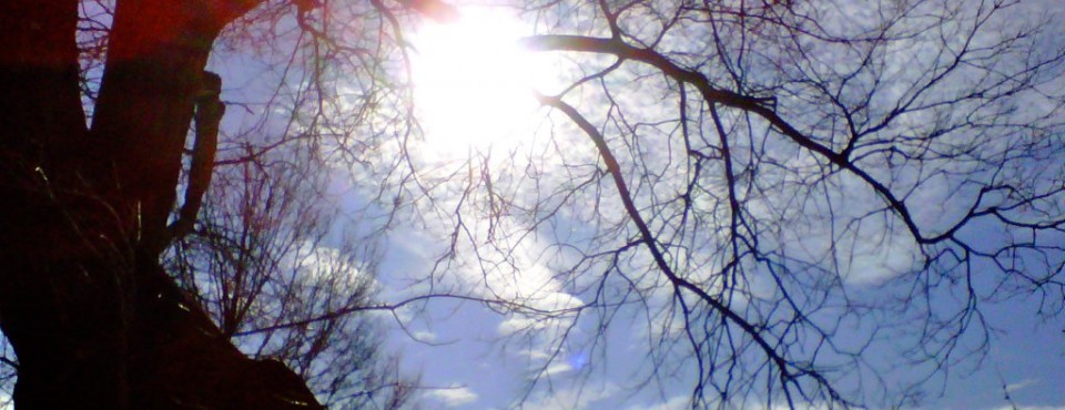 Let the sun shine, weather is great, outside is invigorating. Enjoy this beautiful day-S.I.'s North Shore.