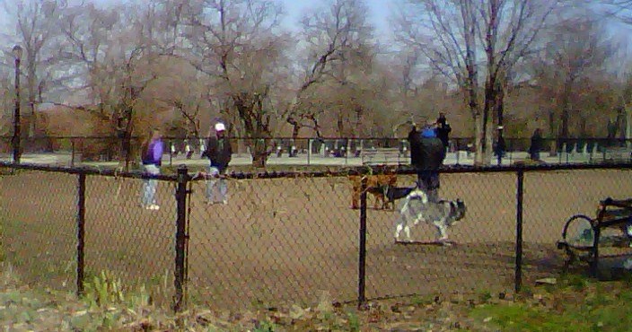 Doggy park- Silver Lake Park