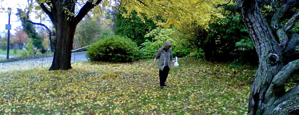 Beautiful Silver Lake Park in Staten Island's North Shore.