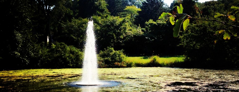Allison Pond in Randall Manor on Staten Island's North Shore