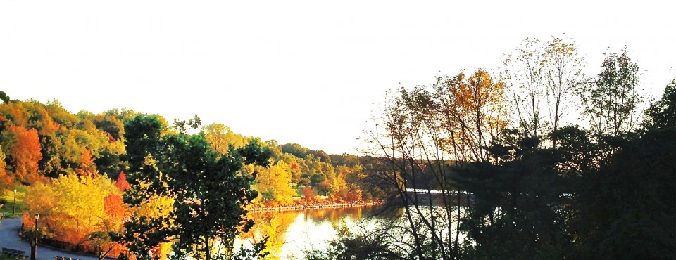 Staten Island's North Shore, Silver Lake Park.