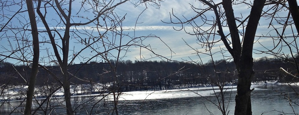 Staten Island's North Shore, Silver Lake Park