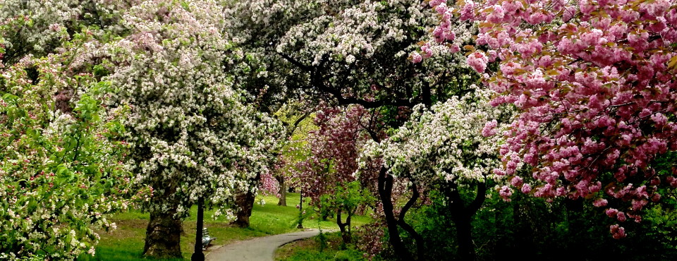 Silver Lake Park in Staten Island's North Shore.