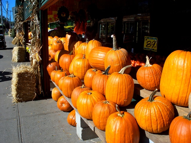 Fall in Staten Island – Upcoming Harvest Events