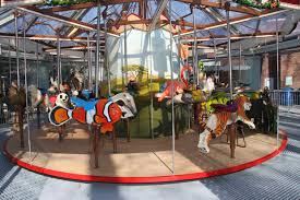 conservation carousel