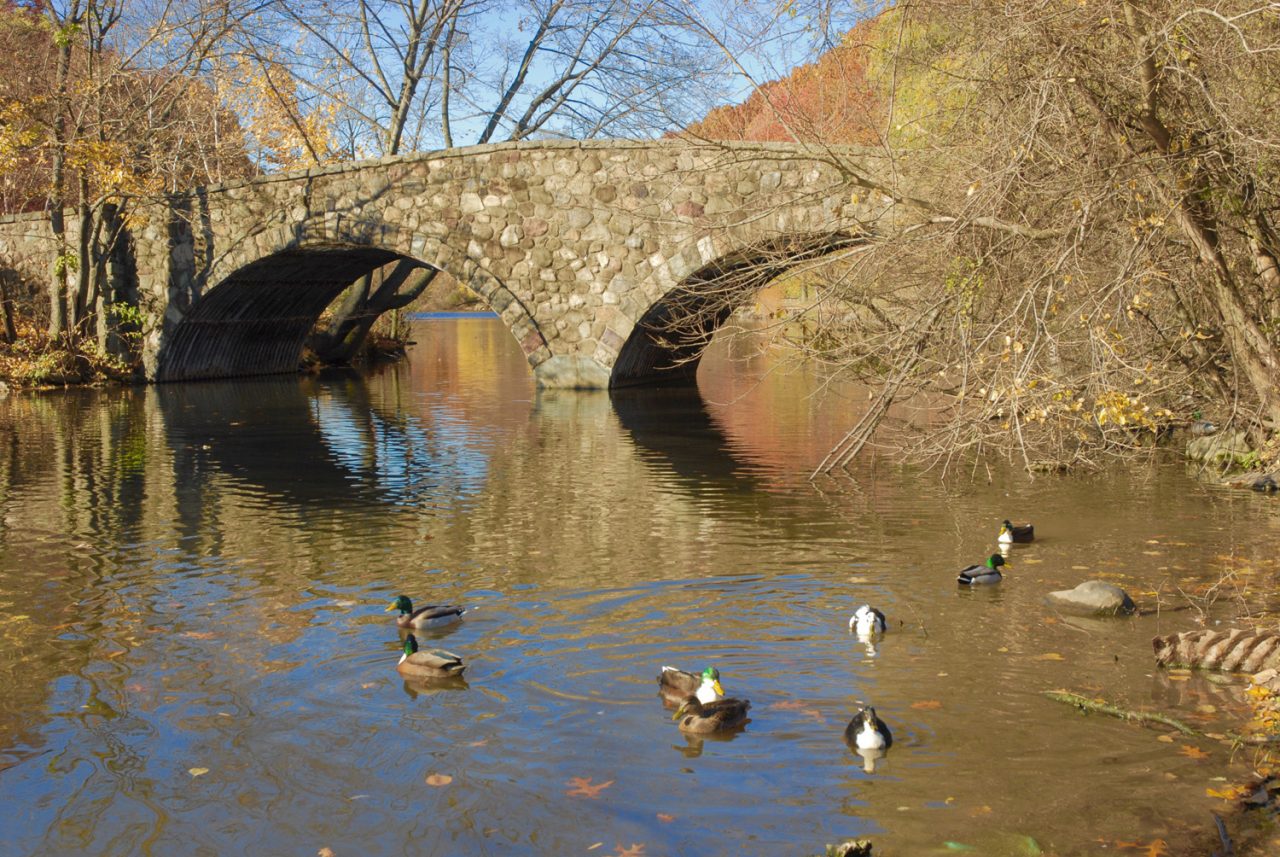 Clove Lakes Park Holly's Staten Island Buzz Realty