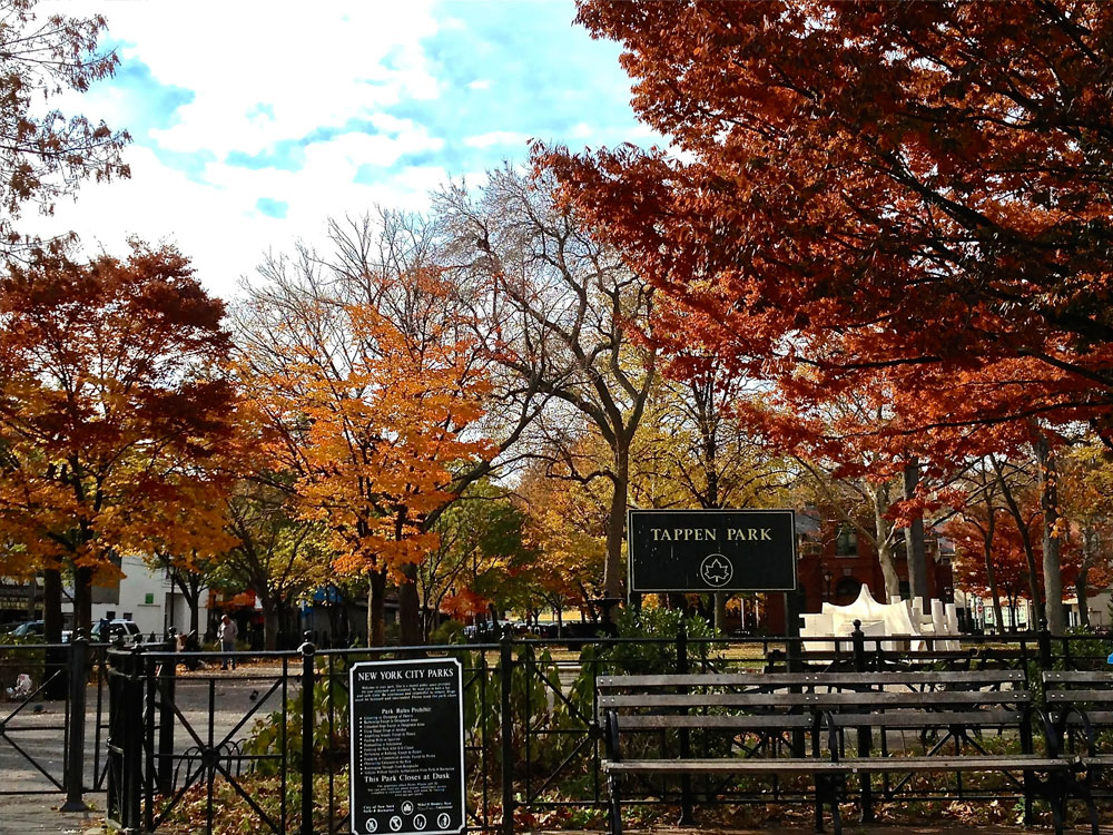 Stapleton Library in Staten Island NY