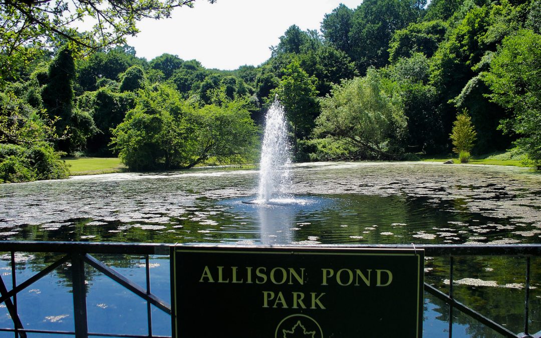 Allison Pond Park