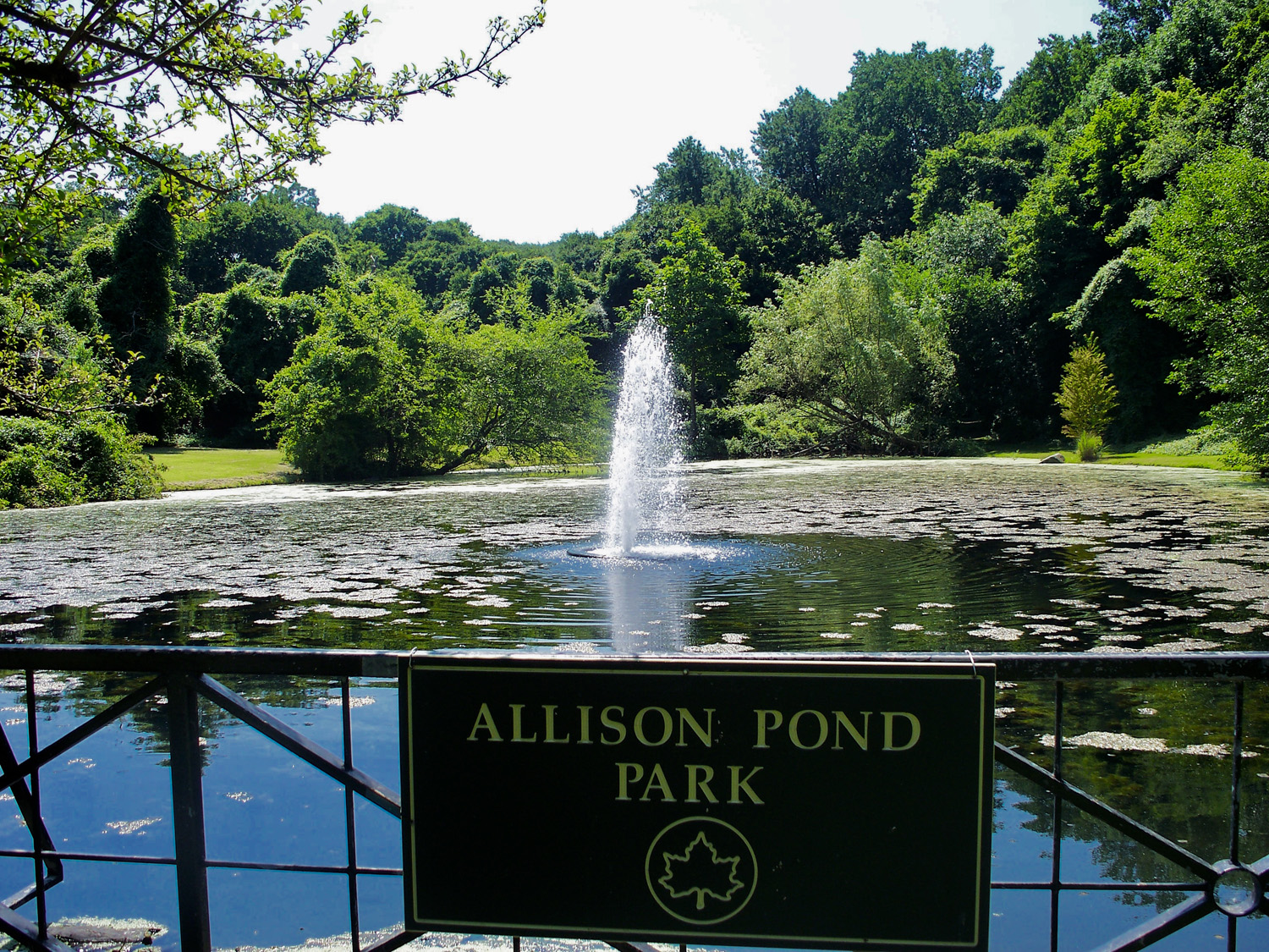 Allison Pond Park in Staten Island