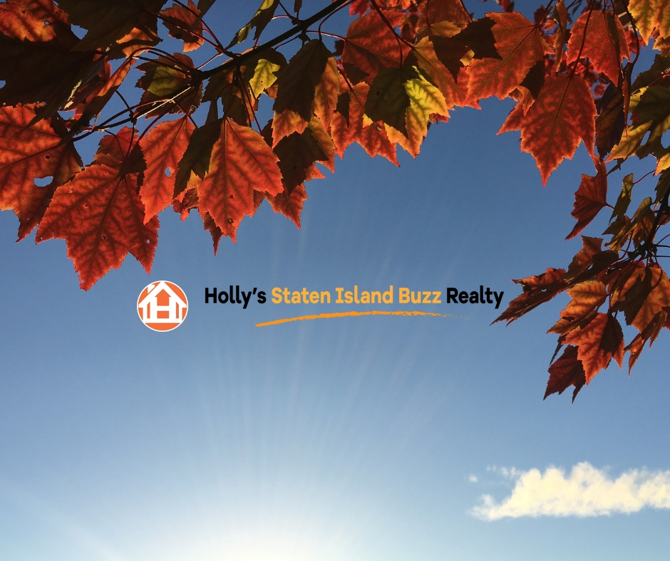 Fall Leaves in the sky with a cloud and a sunburst with the Holly's Staten Island Buzz Realty logo