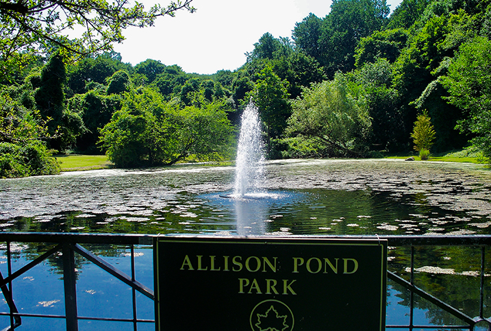 Alison Pond Park in Randall Manor, Staten Island