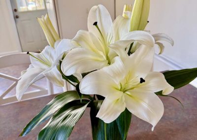 50 Sharpe Ave Staten Island NY 10301